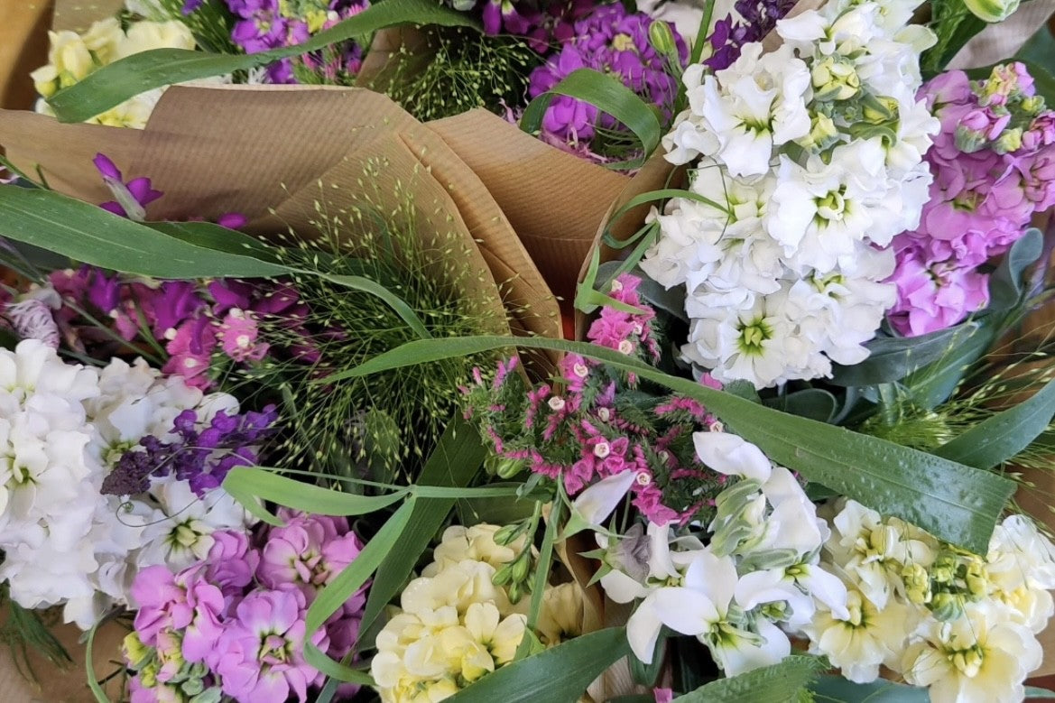 🌿 Meet Our Growers: A Glimpse into Lyndene’s Seasonal Beauty