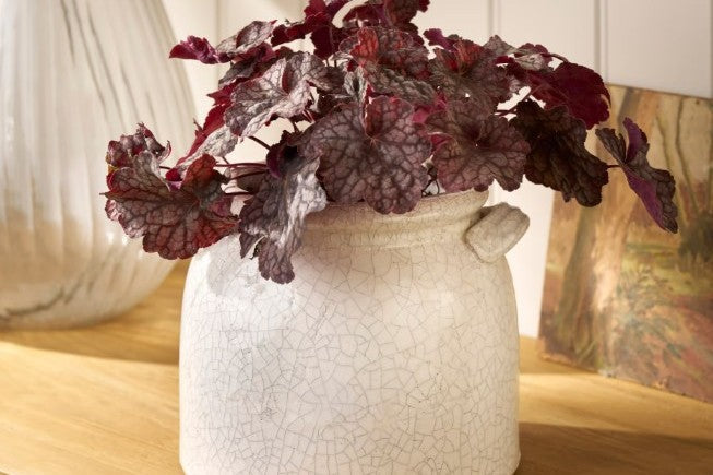 RAVELLO CRACKLE GLAZE COLLECTION