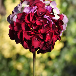 Bouquet of red and purple flowers with a blurred green background