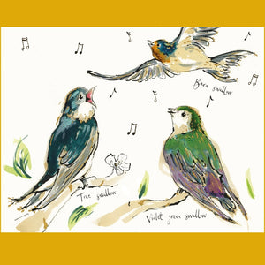 ANNA WRIGHT 2026 BIRDSONG CALENDAR