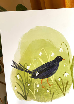 BLACKBIRD SNOWDROP PRINT - WHITE WOOD FRAME