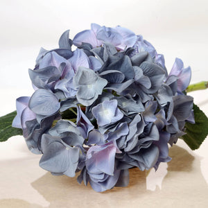 Bouquet of blue hydrangeas on a white background