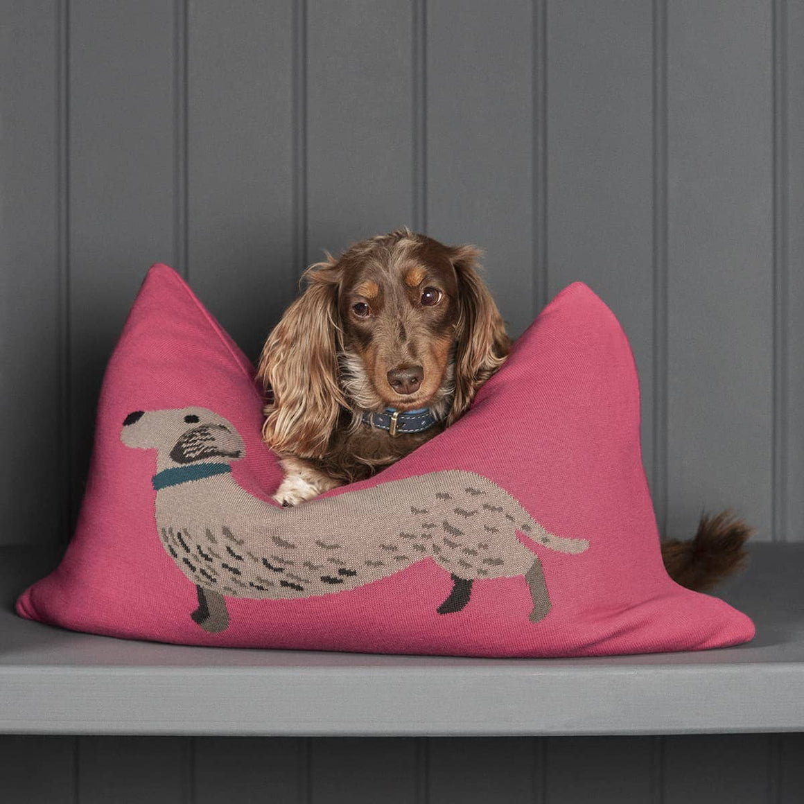 Dachshund Knitted Cushion - Feather & Twigs
