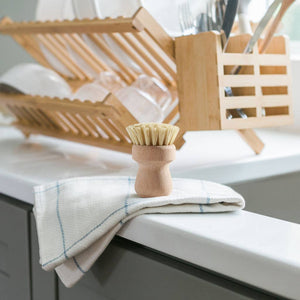 WILD AND STONE TAMPICO FIBRE POT CLEANING BRUSH