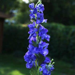 ARTIFICIAL PURPLE DELPHINIUM