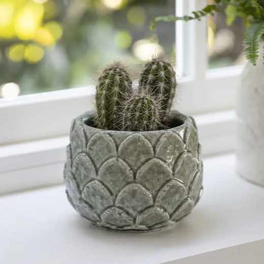 A small cactus in a textured, scalloped ceramic pot with a gray-green glaze, sitting on a white windowsill with a blurred outdoor background.
