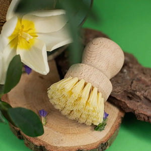 NATURAL POT BRUSH