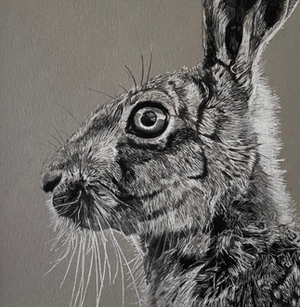 Close-up of a detailed black and white drawing of a rabbit.