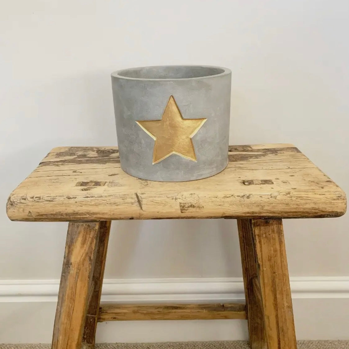 GOLD STAR CEMENT PLANTER