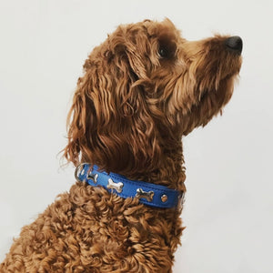 LEATHER BONE DESIGN DOG COLLARS - VARIOUS COLOURS