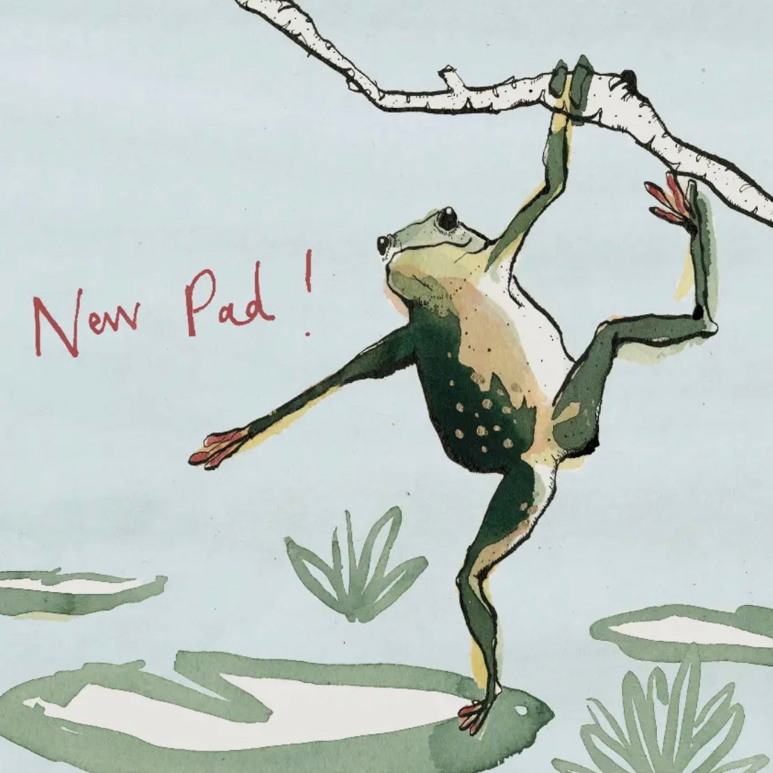 CARDS BY ANNA WRIGHT - VARIOUS FUN - Feather & Twigs