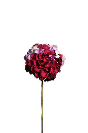 ARTIFICIAL DEEP RED MEDIUM HYDRANGEA - SHORT STEM