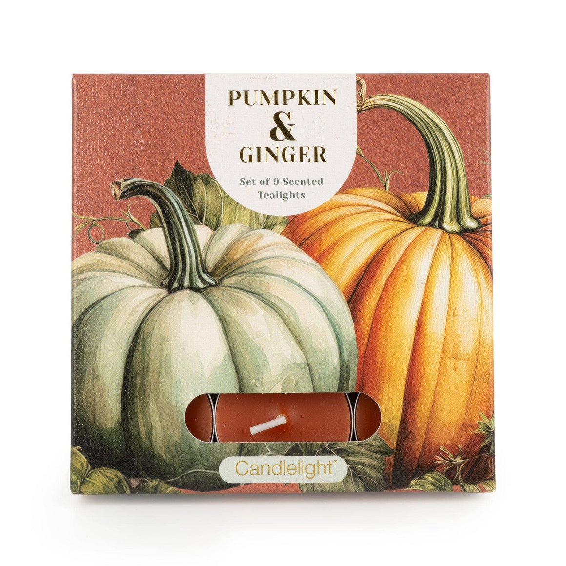 SET OF 9 TEALIGHTS - PUMPKIN AND GINGER - Feather & Twigs