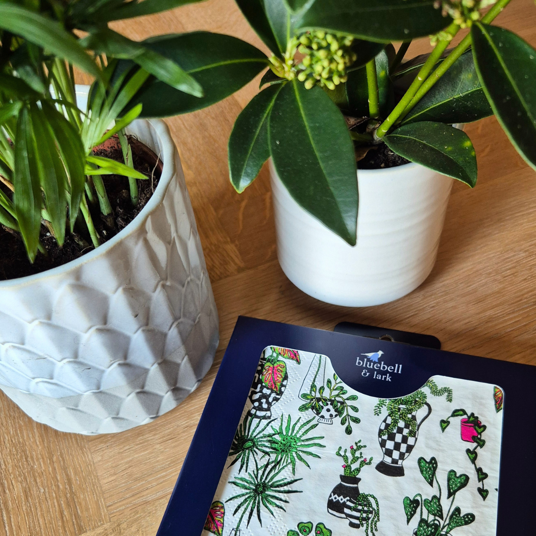 Bluebell and Lark house plant-themed paper napkins featuring vibrant botanical illustrations on white background.