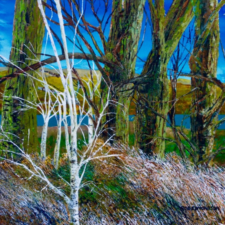 'LAKE VIEW 3' LIMITED EDITION PRINT BY ROB EDMUNDSON - Feather & Twigs