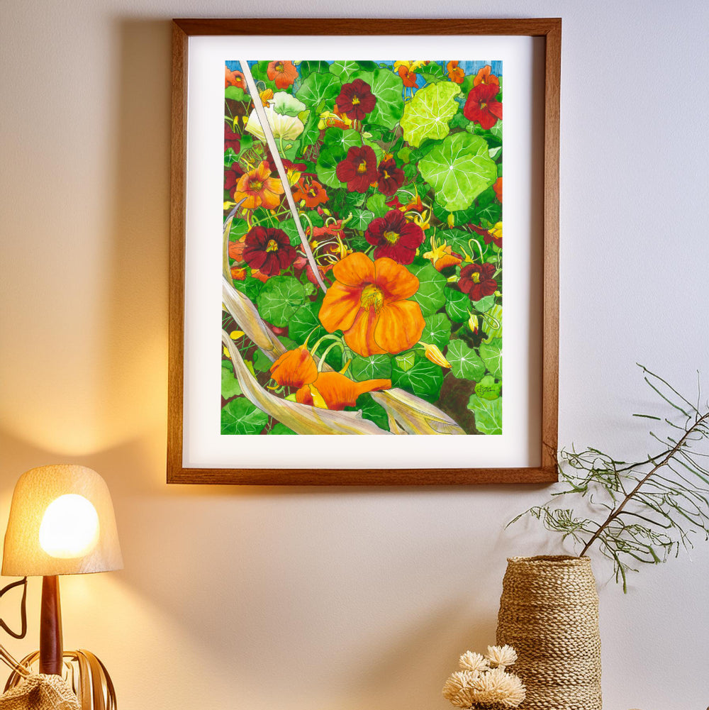 NASTURTIUMS BY DAVID JENKINS A3 FRAMED OR UNFRAMED - Feather & Twigs