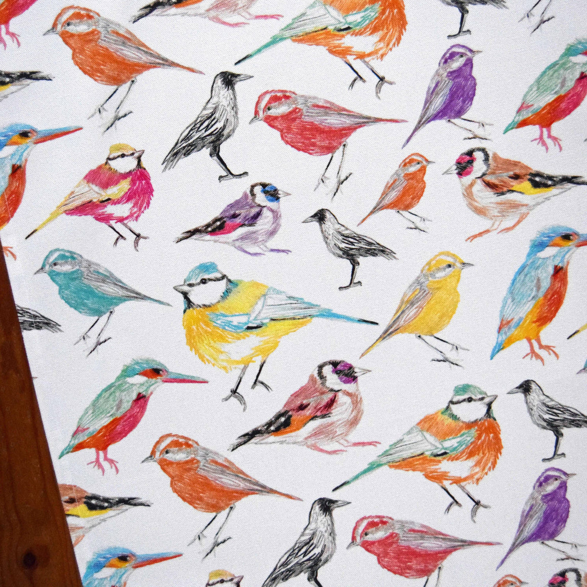 Colorful bird pattern on a white background
