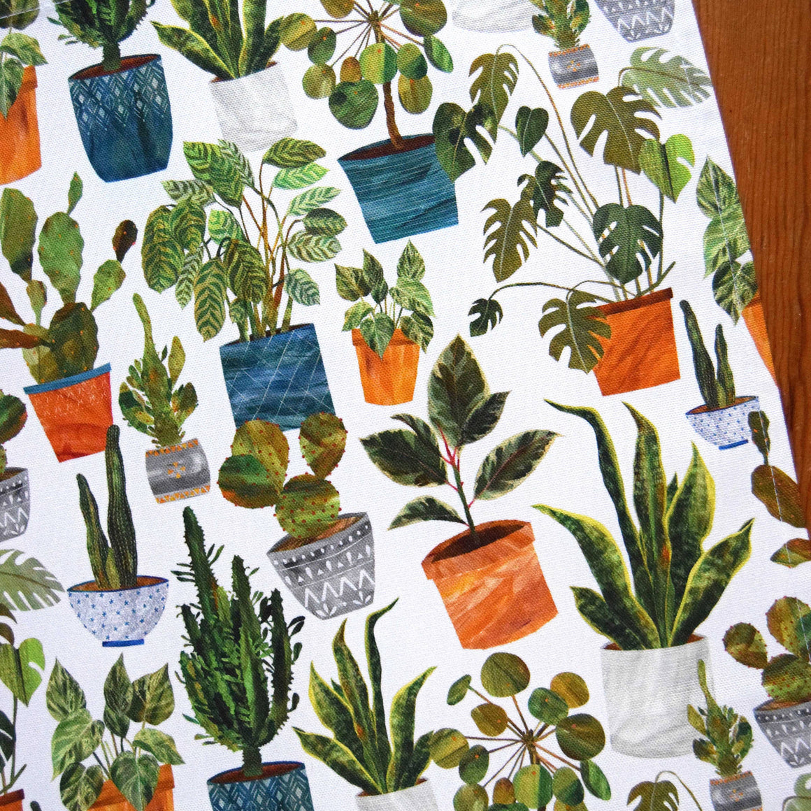'HOUSEPLANTS' TEA TOWEL/COTTON BY FREYA SNOW - Feather & Twigs