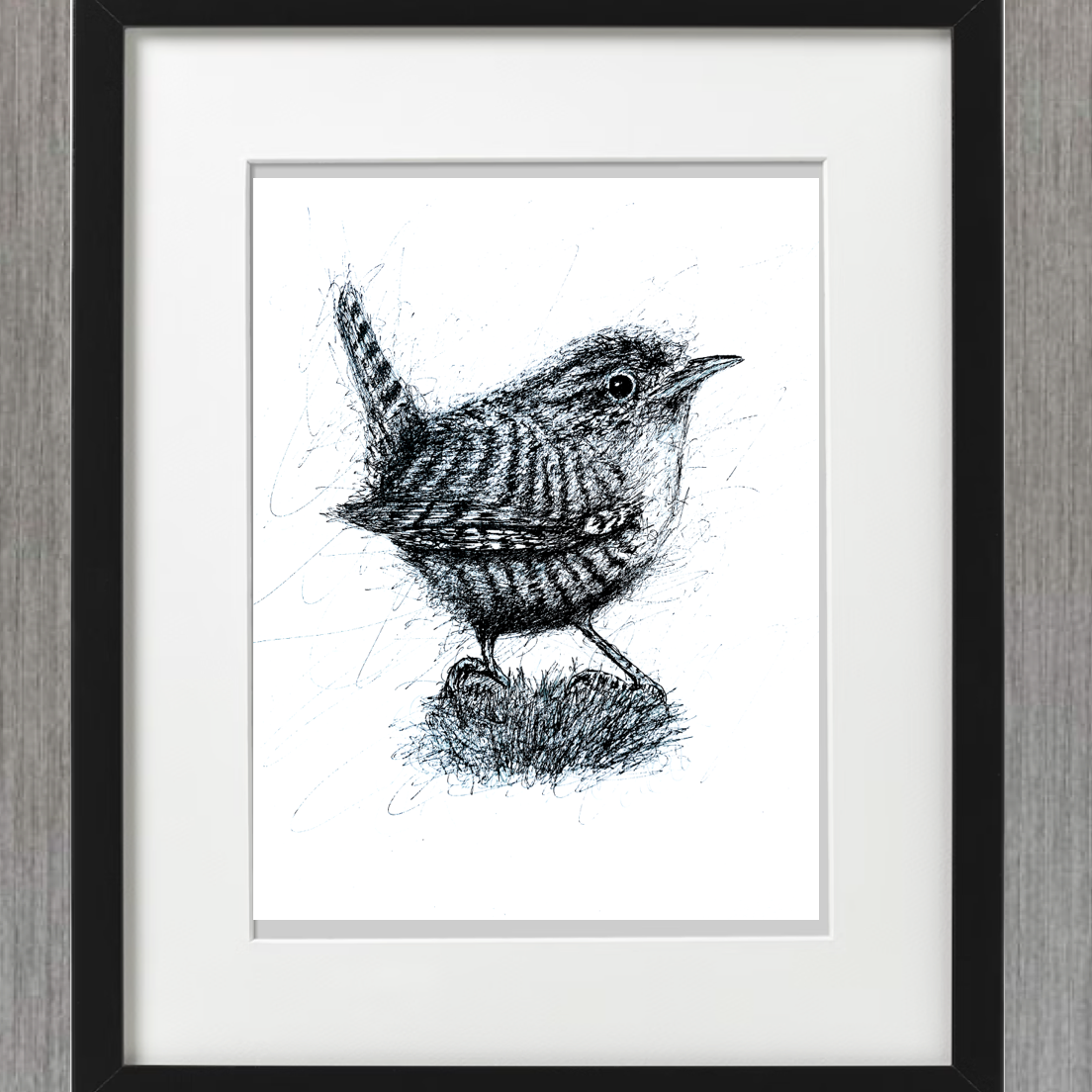 WREN PEN & INK - LIMITED EDITION PRINT - Feather & Twigs