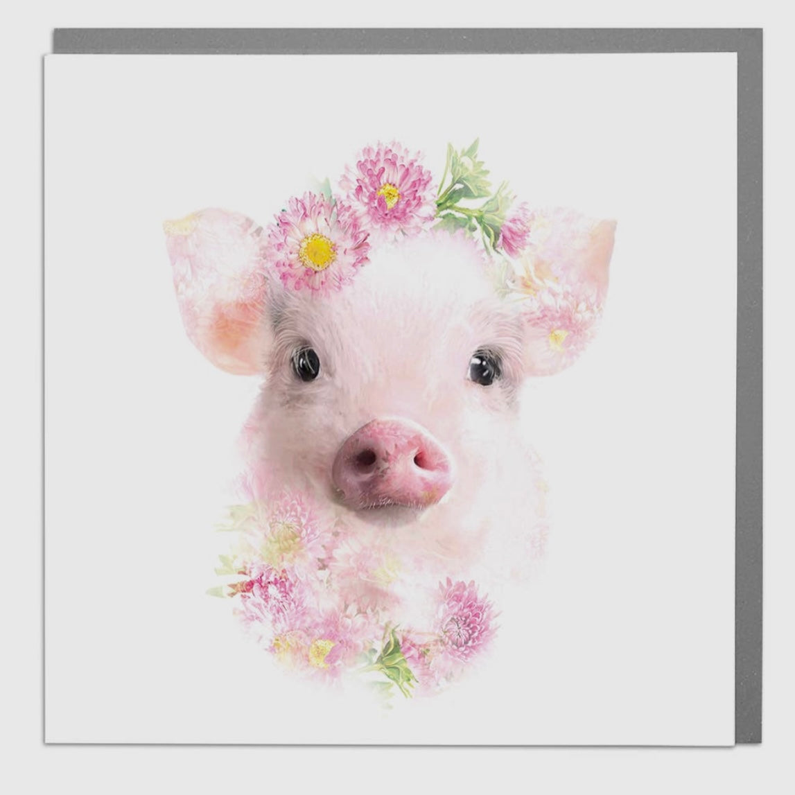 BEAUTIFUL LOLA CARDS -VARIOUS