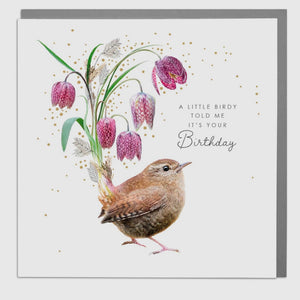 BEAUTIFUL LOLA CARDS -VARIOUS