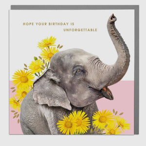 BEAUTIFUL LOLA CARDS -VARIOUS