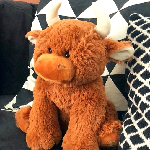 HIGHLAND COW PLUSH BABY TOY - 30cm - Feather & Twigs
