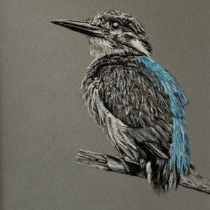 Artistic depiction of a kingfisher bird on a gray background