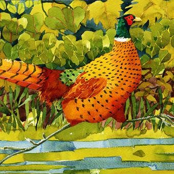 ON THE RUN GREETINGS CARD - Feather & Twigs