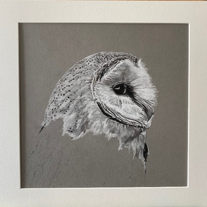Black and white drawing of an owl's head in a gray frame.