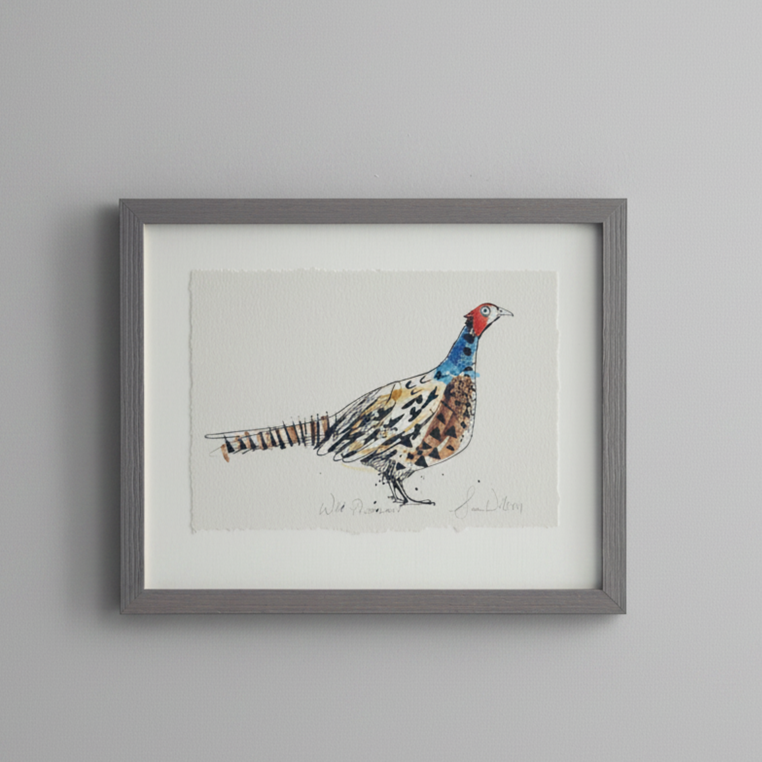 A framed watercolor print of a pheasant bird, displayed on a light gray wall above a white surface. The artwork features a detailed bird with brown, black, and blue feathers on a white background, enclosed in a gray frame with a white mat.