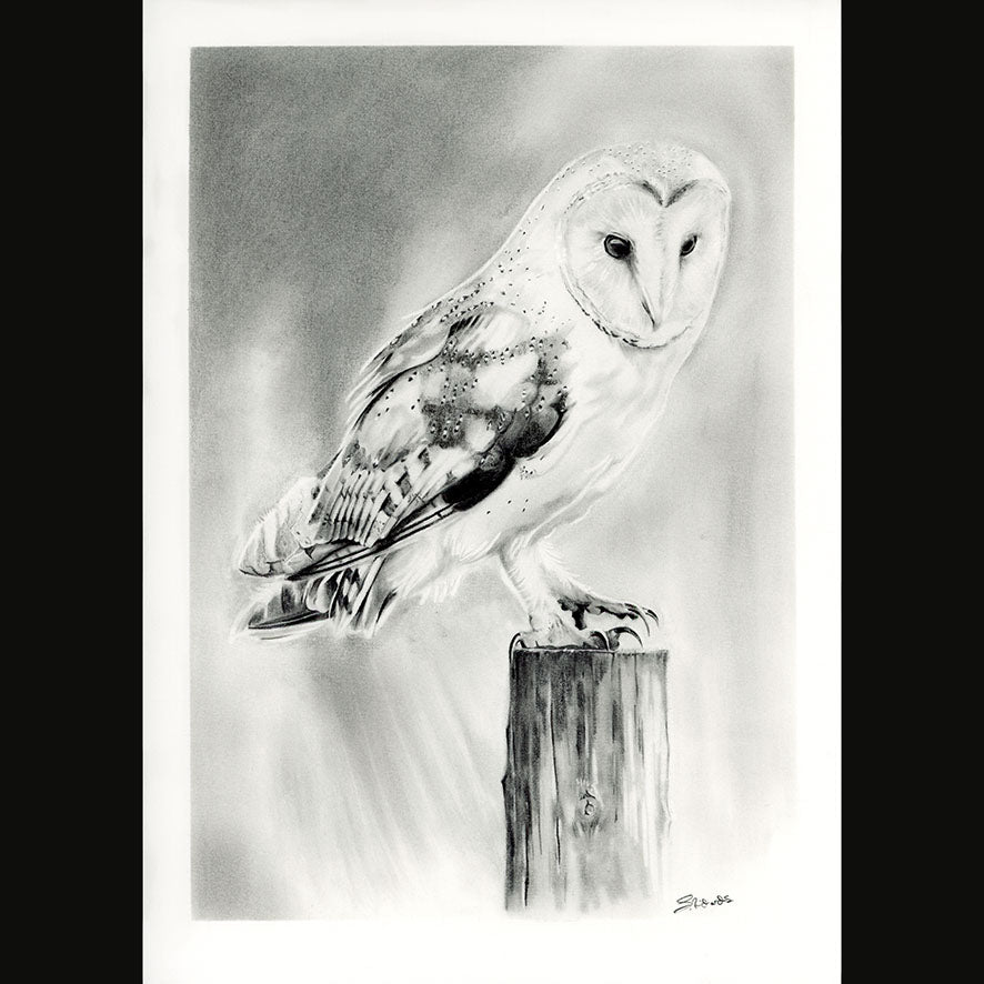 BARN OWL LIMITED EDITION PRINT -(20) - Feather & Twigs