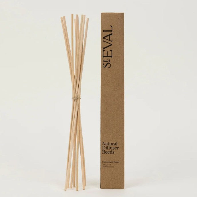REEDS FOR DIFFUSERS BY ST EVAL - Feather & Twigs