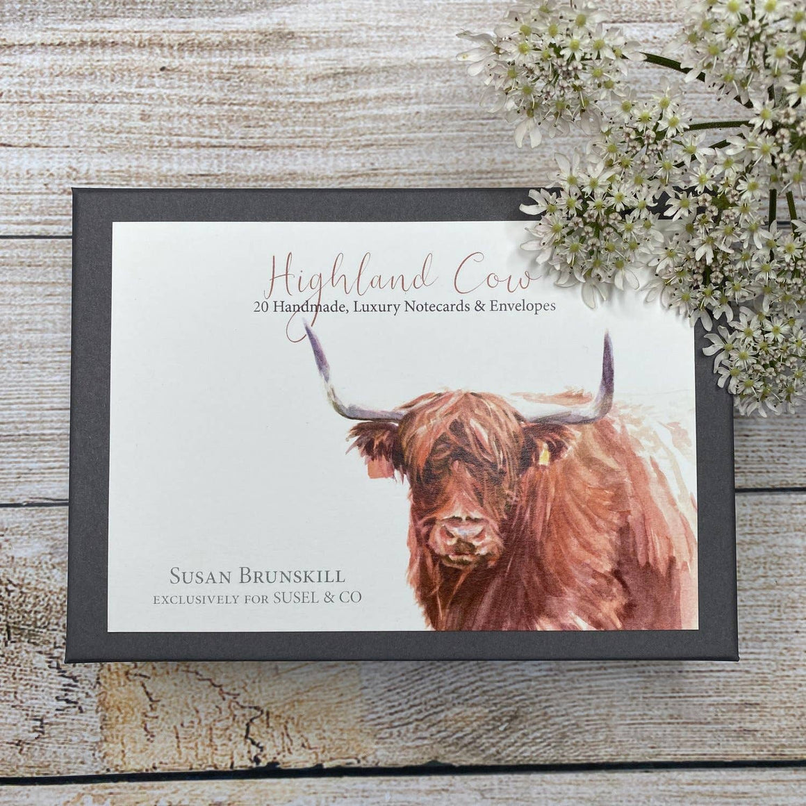 HIGHLAND COW - NOTECARDS - Feather & Twigs