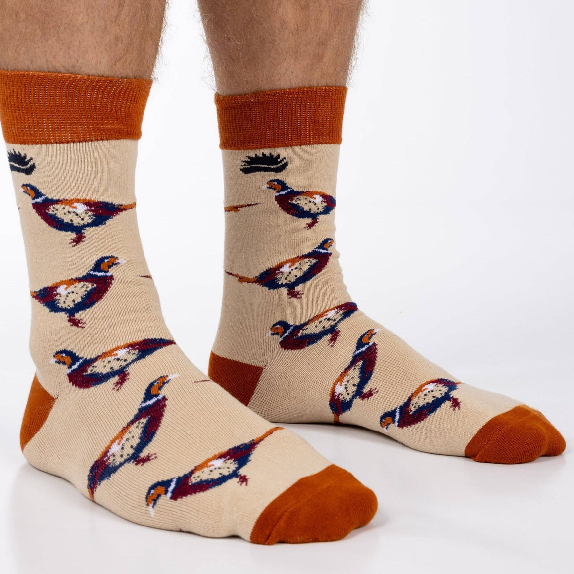 BAMBOO PHEASANT BIRD NOVELTY SOCKS LIGHT BROWN ECO FRIENDLY - Feather & Twigs