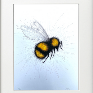 BEE -  PEN & INK - LIMITED EDITION PRINT