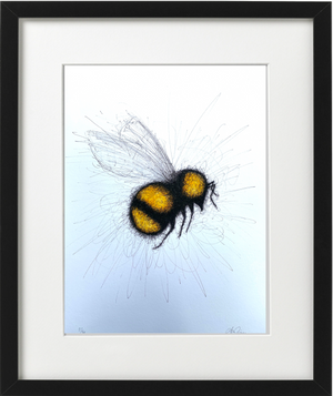 BEE -  PEN & INK - LIMITED EDITION PRINT