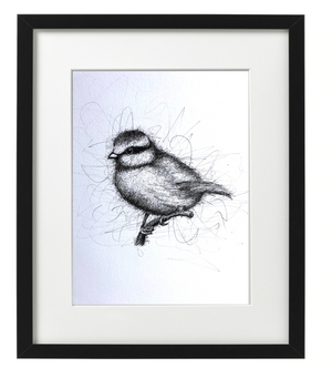 BLUE TIT -  PEN & INK - ORIGINAL