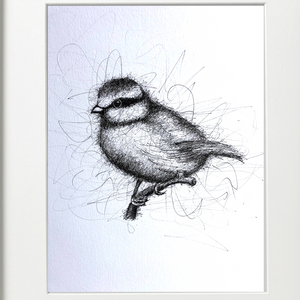 BLUE TIT -  PEN & INK - ORIGINAL