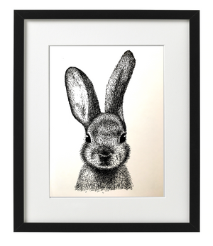 RABBIT PEN & INK - LIMITED EDITION PRINT
