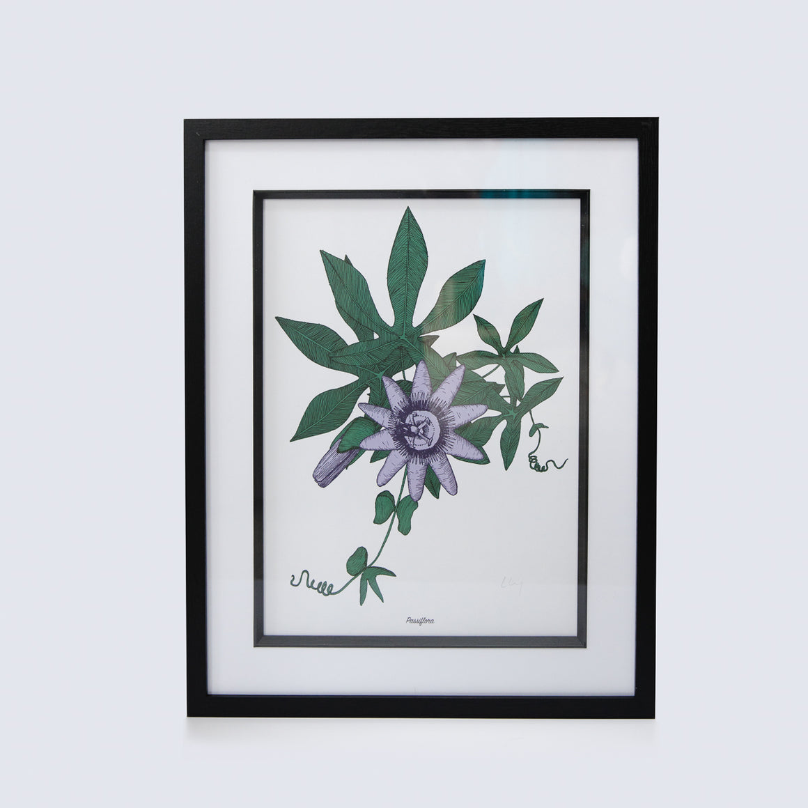 BOTANICAL PRINT - PASSION FLOWER