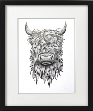 HIGHLAND COW -  PEN & INK - PRINT