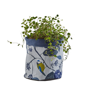 SPRING IVY BLUE PLANT POT