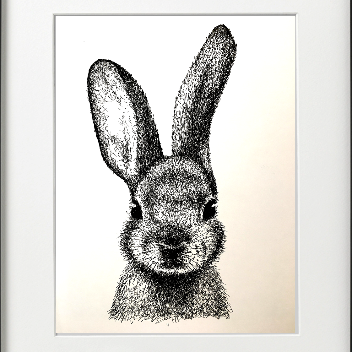 RABBIT PEN & INK - LIMITED EDITION PRINT