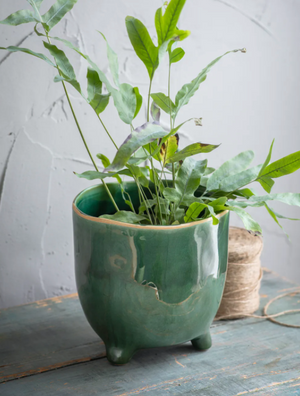 POSITANO POT - FOREST GREEN