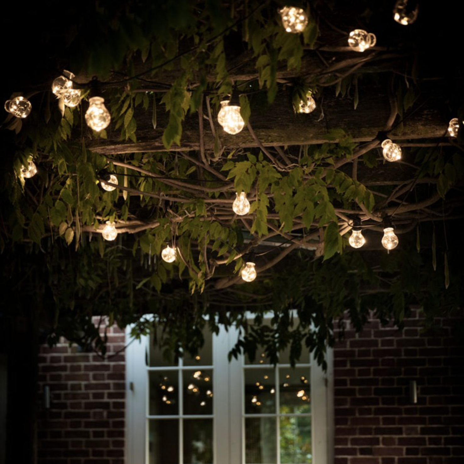 FESTOON LIGHTS - 20 SOLAR BULBS - ORDER