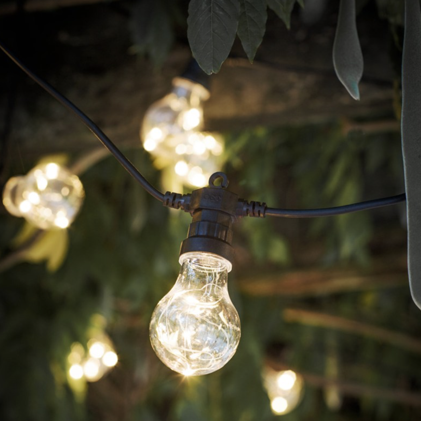 FESTOON LIGHTS 20 BULBS