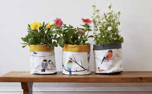 BULLFINCH PLANT POT