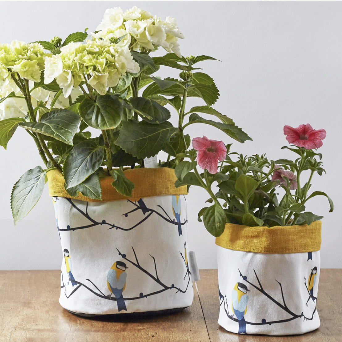 JUNEBERRY BIRD PLANT POT - YELLOW TRIM