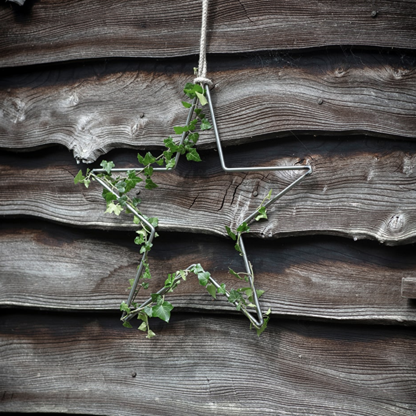 VINNY’S METAL STAR